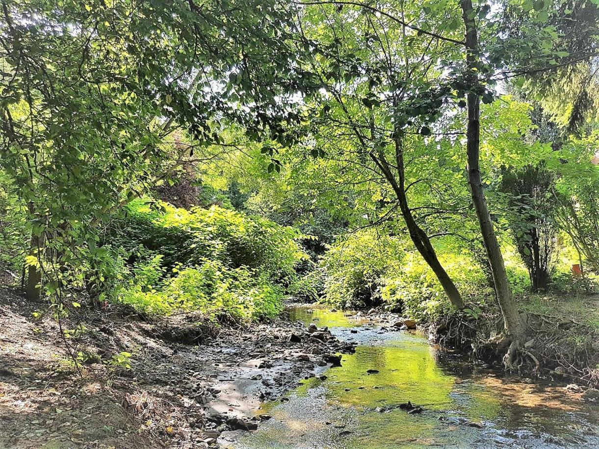 Muskátli Vendégház Parád Exterior foto
